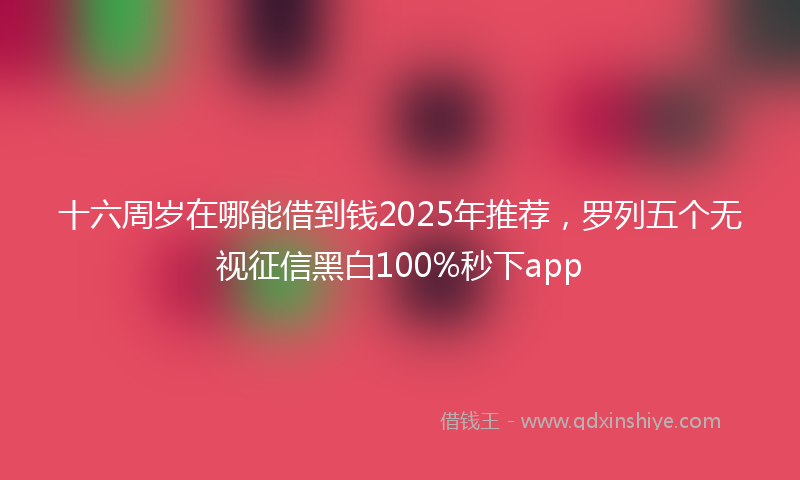 十六周岁在哪能借到钱2025年推荐，罗列五个无视征信黑白100%秒下app