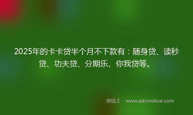 2025年的卡卡贷半个月不下款有：随身贷、读秒贷、功夫贷、分期乐、你我贷等。