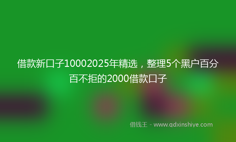 借款新口子10002025年精选，整理5个黑户百分百不拒的2000借款口子
