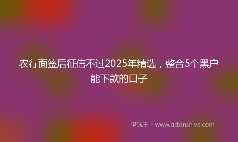 农行面签后征信不过2025年精选，整合5个黑户能下款的口子