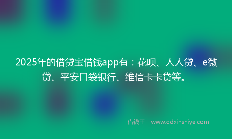 2025年的借贷宝借钱app有：花呗、人人贷、e微贷、平安口袋银行、维信卡卡贷等。