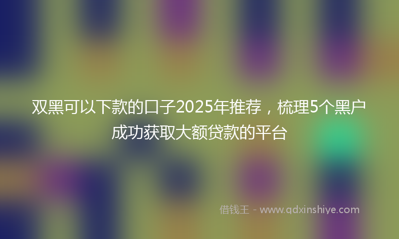 双黑可以下款的口子2025年推荐，梳理5个黑户成功获取大额贷款的平台