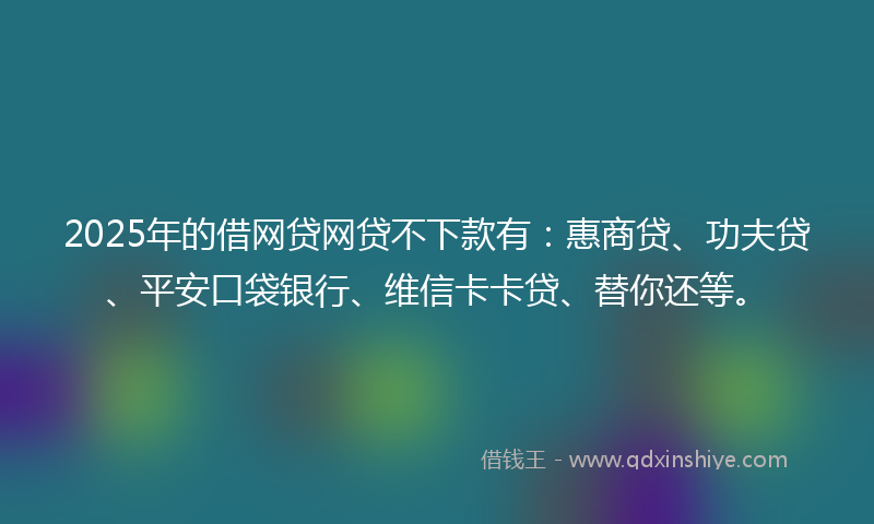2025年的借网贷网贷不下款有：惠商贷、功夫贷、平安口袋银行、维信卡卡贷、替你还等。