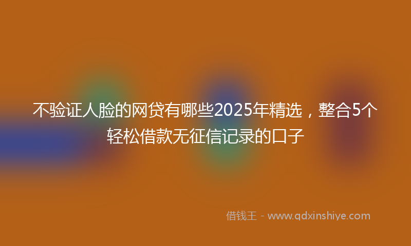 不验证人脸的网贷有哪些2025年精选，整合5个轻松借款无征信记录的口子