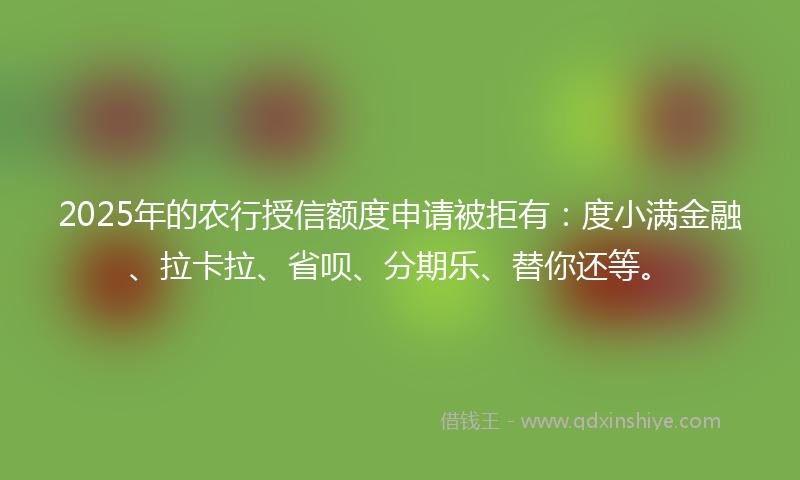2025年的农行授信额度申请被拒有：度小满金融、拉卡拉、省呗、分期乐、替你还等。