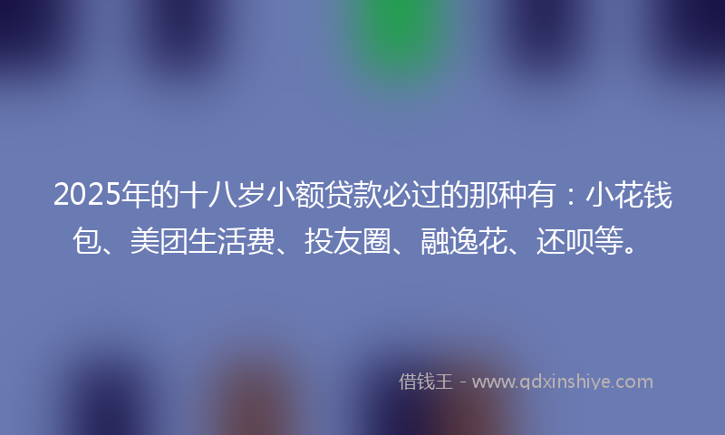 2025年的十八岁小额贷款必过的那种有：小花钱包、美团生活费、投友圈、融逸花、还呗等。