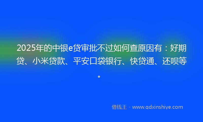 2025年的中银e贷审批不过如何查原因有：好期贷、小米贷款、平安口袋银行、快贷通、还呗等。