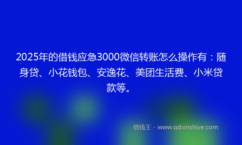 2025年的借钱应急3000微信转账怎么操作有：随身贷、小花钱包、安逸花、美团生活费、小米贷款等。
