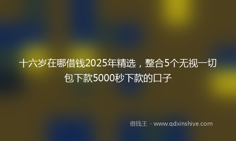 十六岁在哪借钱2025年精选，整合5个无视一切包下款5000秒下款的口子