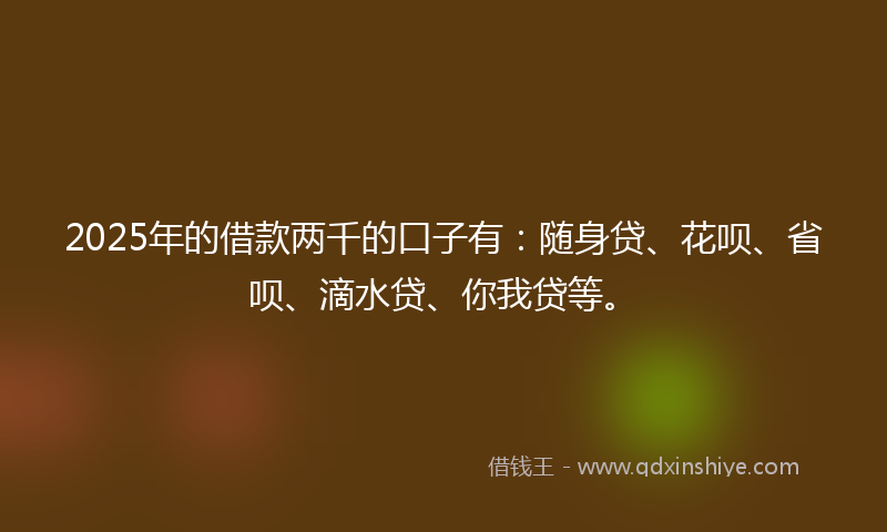 2025年的借款两千的口子有：随身贷、花呗、省呗、滴水贷、你我贷等。