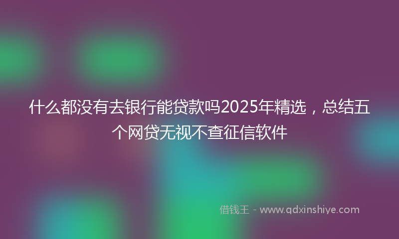 什么都没有去银行能贷款吗2025年精选，总结五个网贷无视不查征信软件