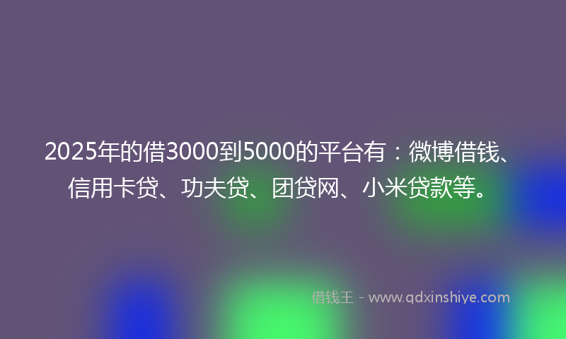 2025年的借3000到5000的平台有：微博借钱、信用卡贷、功夫贷、团贷网、小米贷款等。