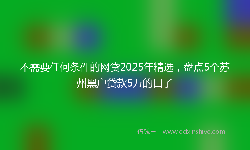 不需要任何条件的网贷2025年精选，盘点5个苏州黑户贷款5万的口子