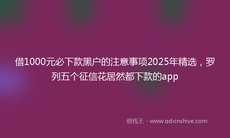 借1000元必下款黑户的注意事项2025年精选，罗列五个征信花居然都下款的app