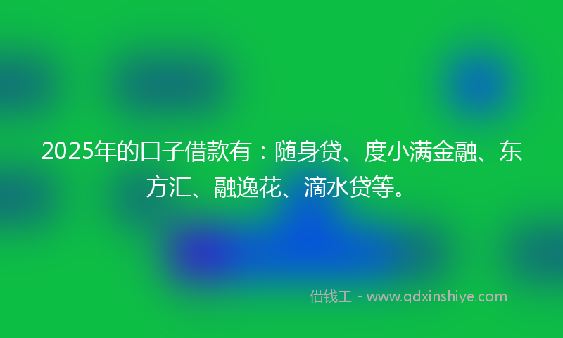 2025年的口子借款有：随身贷、度小满金融、东方汇、融逸花、滴水贷等。