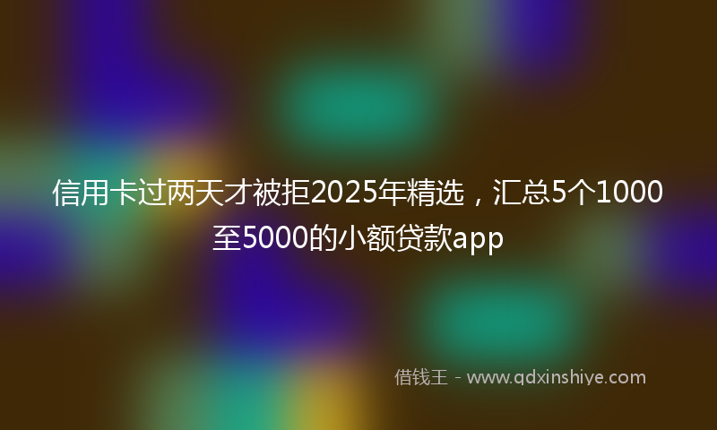 信用卡过两天才被拒2025年精选，汇总5个1000至5000的小额贷款app