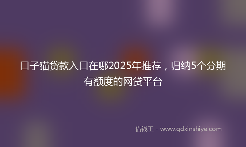 口子猫贷款入口在哪2025年推荐，归纳5个分期有额度的网贷平台