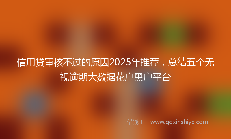 信用贷审核不过的原因2025年推荐，总结五个无视逾期大数据花户黑户平台