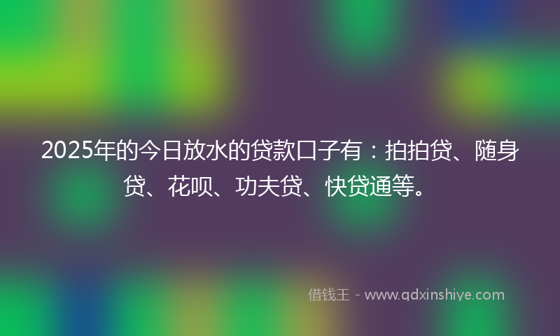 2025年的今日放水的贷款口子有：拍拍贷、随身贷、花呗、功夫贷、快贷通等。