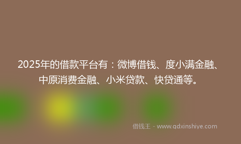 2025年的借款平台有：微博借钱、度小满金融、中原消费金融、小米贷款、快贷通等。