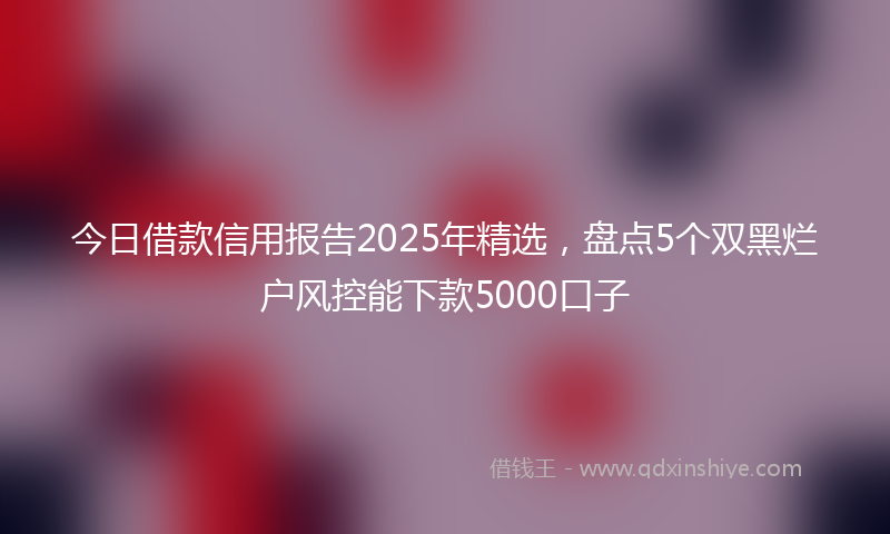 今日借款信用报告2025年精选，盘点5个双黑烂户风控能下款5000口子