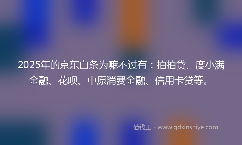 2025年的京东白条为嘛不过有：拍拍贷、度小满金融、花呗、中原消费金融、信用卡贷等。