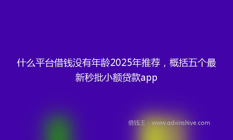 什么平台借钱没有年龄2025年推荐，概括五个最新秒批小额贷款app