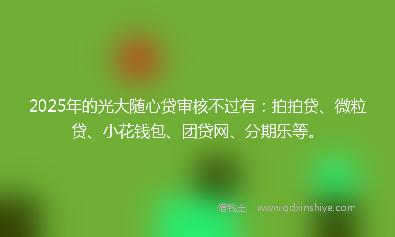 2025年的光大随心贷审核不过有：拍拍贷、微粒贷、小花钱包、团贷网、分期乐等。
