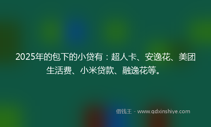 2025年的包下的小贷有：超人卡、安逸花、美团生活费、小米贷款、融逸花等。