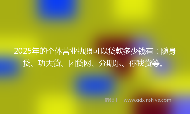 2025年的个体营业执照可以贷款多少钱有：随身贷、功夫贷、团贷网、分期乐、你我贷等。