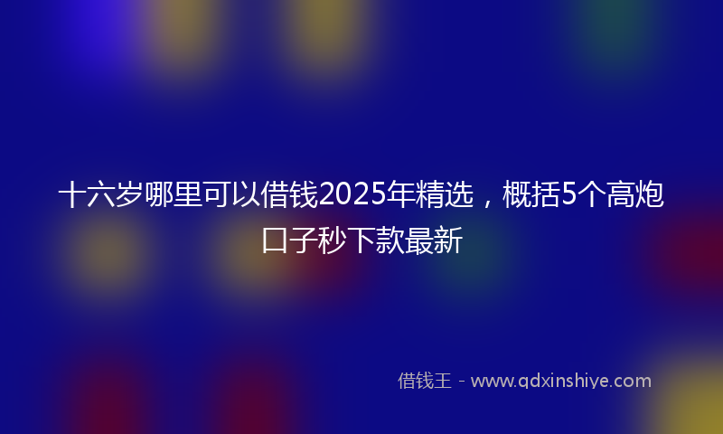 十六岁哪里可以借钱2025年精选，概括5个高炮口子秒下款最新