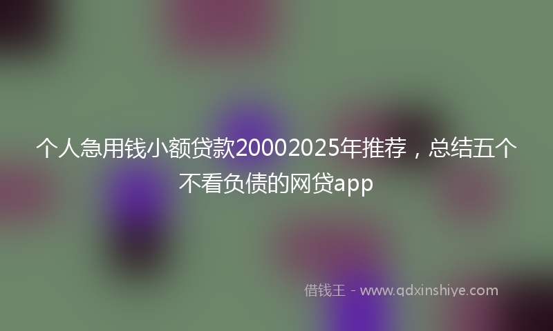 个人急用钱小额贷款20002025年推荐，总结五个不看负债的网贷app