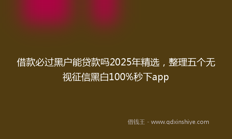 借款必过黑户能贷款吗2025年精选，整理五个无视征信黑白100%秒下app