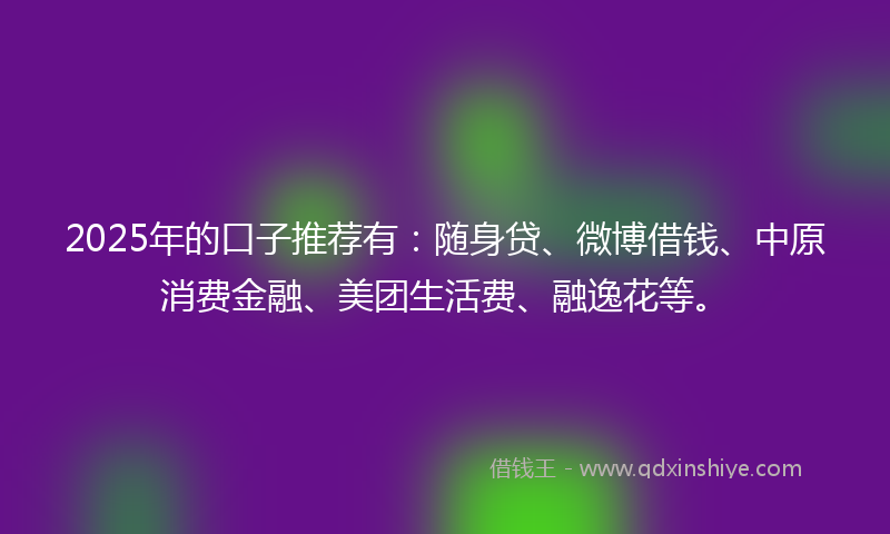 2025年的口子推荐有：随身贷、微博借钱、中原消费金融、美团生活费、融逸花等。