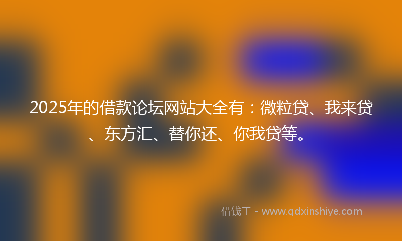 2025年的借款论坛网站大全有：微粒贷、我来贷、东方汇、替你还、你我贷等。