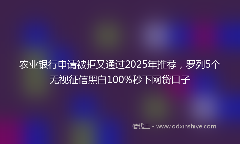 农业银行申请被拒又通过2025年推荐，罗列5个无视征信黑白100%秒下网贷口子