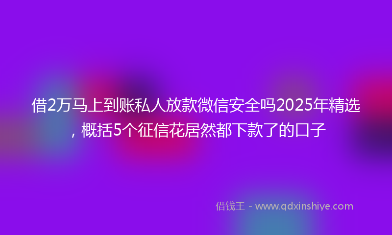 借2万马上到账私人放款微信安全吗2025年精选，概括5个征信花居然都下款了的口子