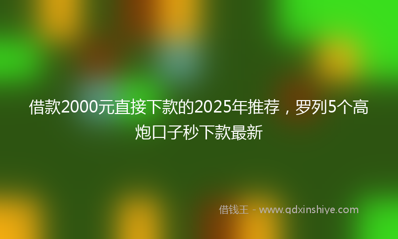 借款2000元直接下款的2025年推荐，罗列5个高炮口子秒下款最新