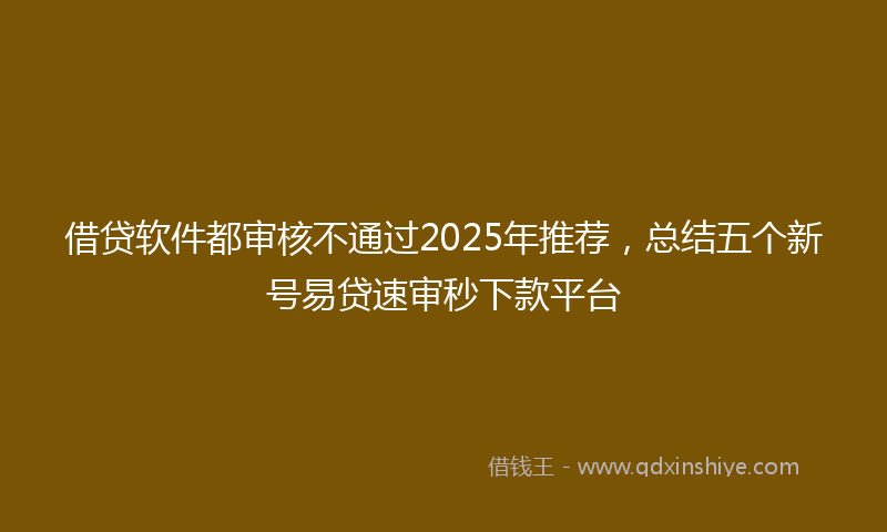 借贷软件都审核不通过2025年推荐，总结五个新号易贷速审秒下款平台