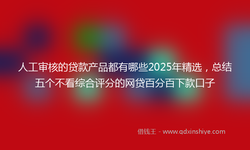 人工审核的贷款产品都有哪些2025年精选，总结五个不看综合评分的网贷百分百下款口子