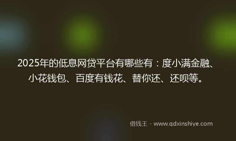 2025年的低息网贷平台有哪些有：度小满金融、小花钱包、百度有钱花、替你还、还呗等。
