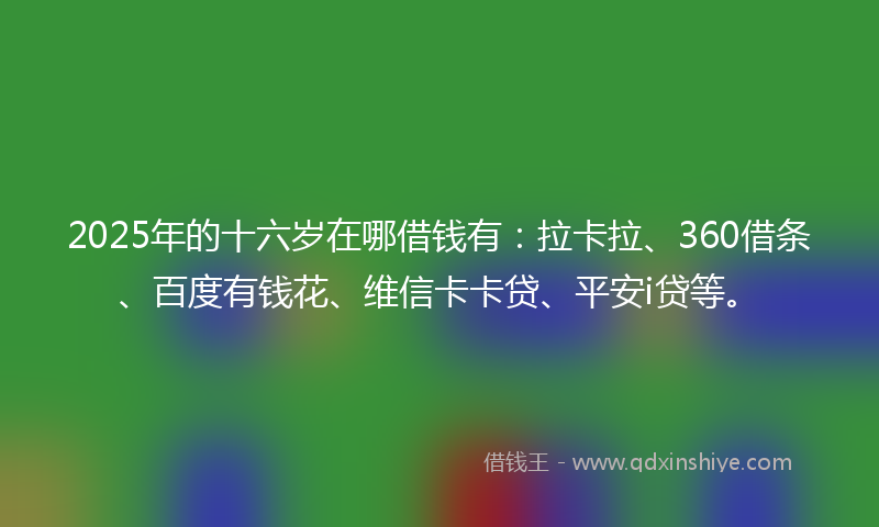 2025年的十六岁在哪借钱有：拉卡拉、360借条、百度有钱花、维信卡卡贷、平安i贷等。