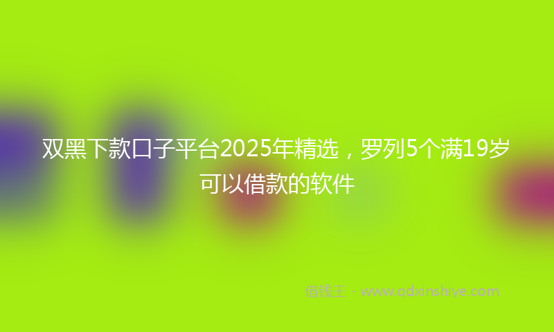 双黑下款口子平台2025年精选，罗列5个满19岁可以借款的软件