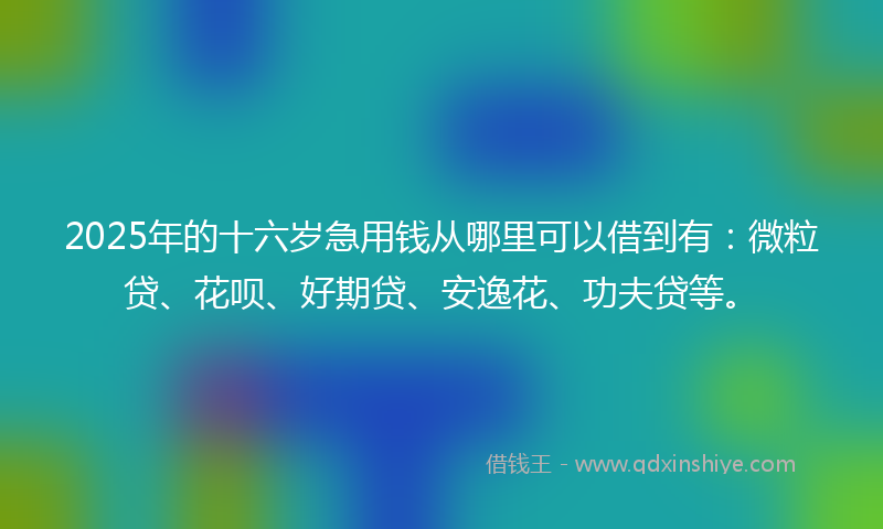 2025年的十六岁急用钱从哪里可以借到有：微粒贷、花呗、好期贷、安逸花、功夫贷等。