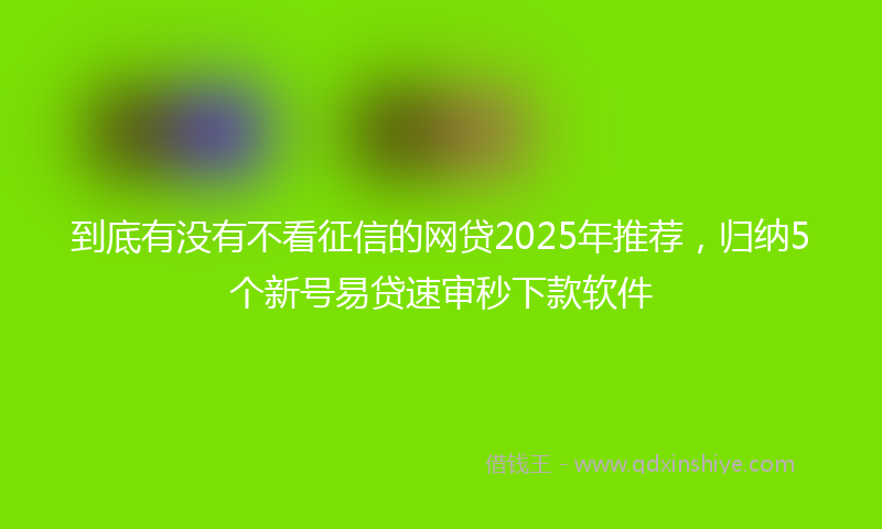 到底有没有不看征信的网贷2025年推荐，归纳5个新号易贷速审秒下款软件