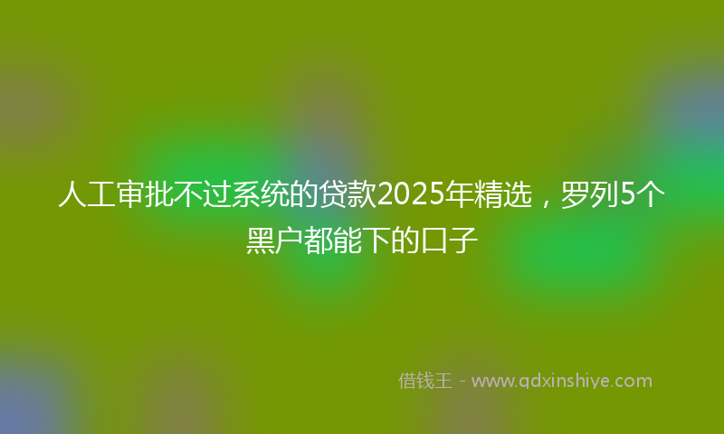 人工审批不过系统的贷款2025年精选，罗列5个黑户都能下的口子