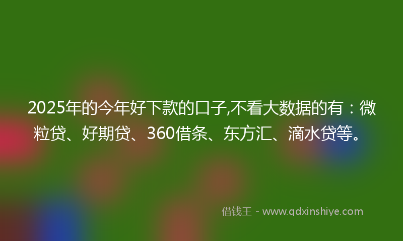 2025年的今年好下款的口子,不看大数据的有：微粒贷、好期贷、360借条、东方汇、滴水贷等。