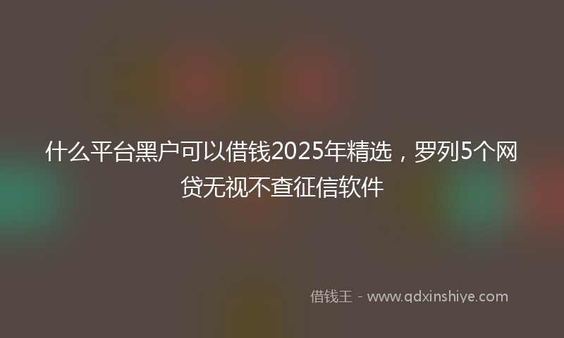 什么平台黑户可以借钱2025年精选，罗列5个网贷无视不查征信软件