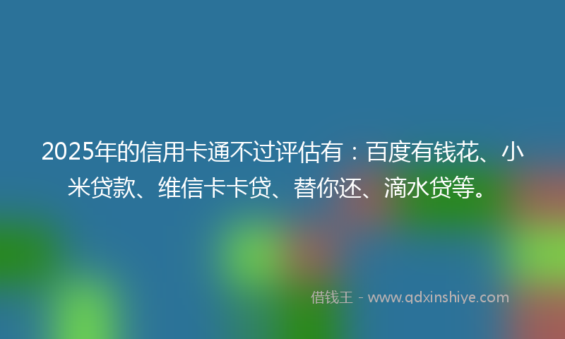 2025年的信用卡通不过评估有：百度有钱花、小米贷款、维信卡卡贷、替你还、滴水贷等。
