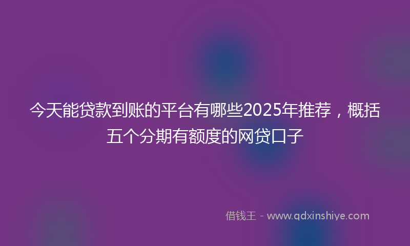 今天能贷款到账的平台有哪些2025年推荐，概括五个分期有额度的网贷口子